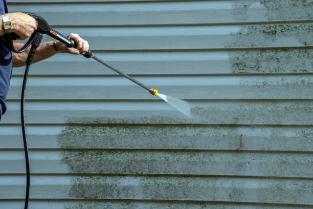 Best Building Exterior Washing  in Chittenango, NY